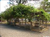 Luis Muñoz Rivera Park - SAN JUAN